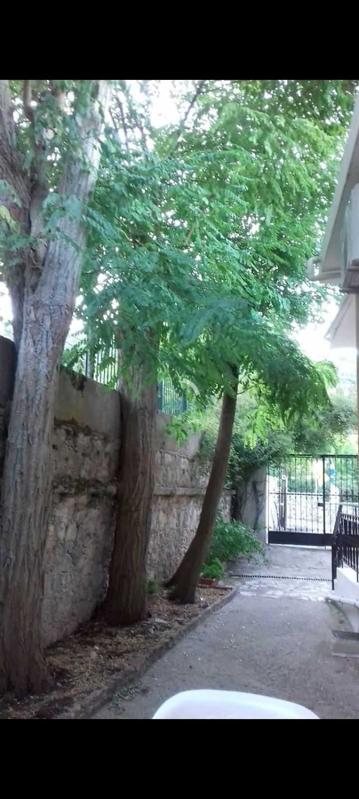 Apartamento Karya House Kariá Exterior foto